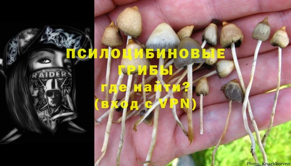 трава Баксан