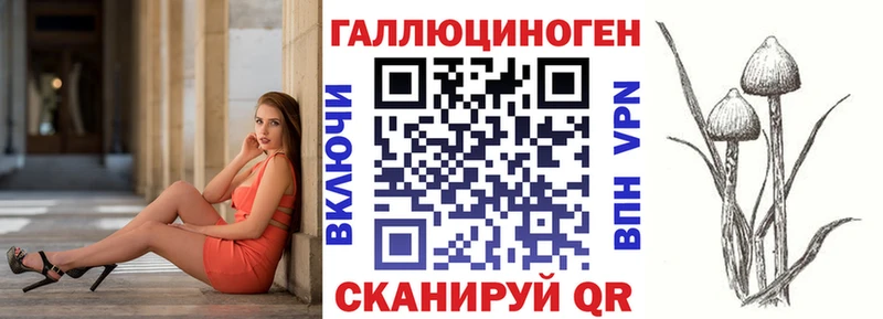 OMG зеркало Верхоянск Псилоцибиновые грибы GOLDEN TEACHER